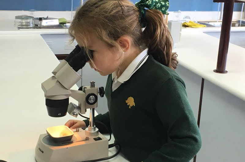 Cientificas en Infantil