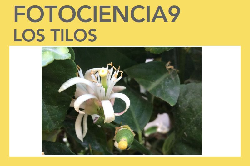 Concurso de Fotociencia