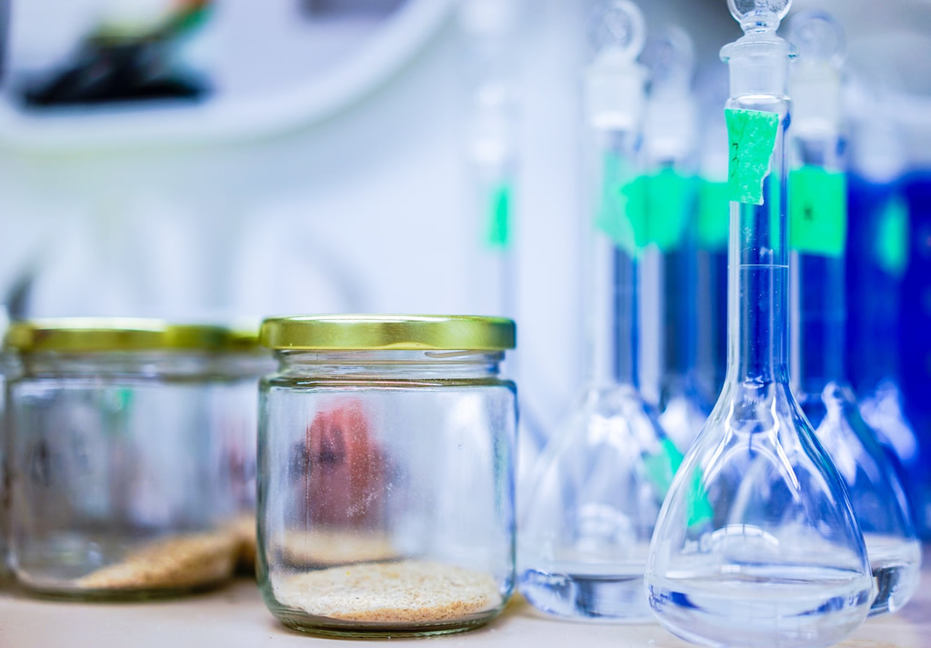 semana ciencias 2010