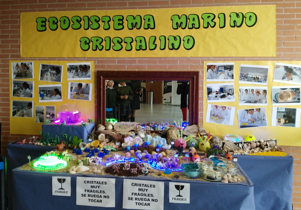 semana ciencias 2017